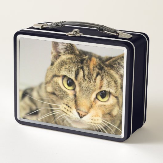 猫 メタルランチボックス (正面)