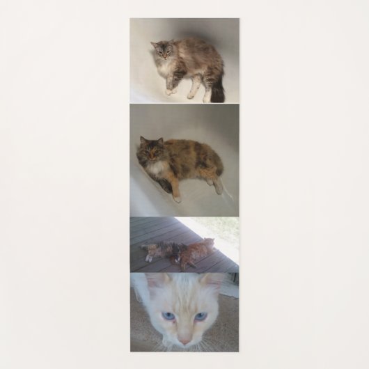 猫 ヨガマット (正面)