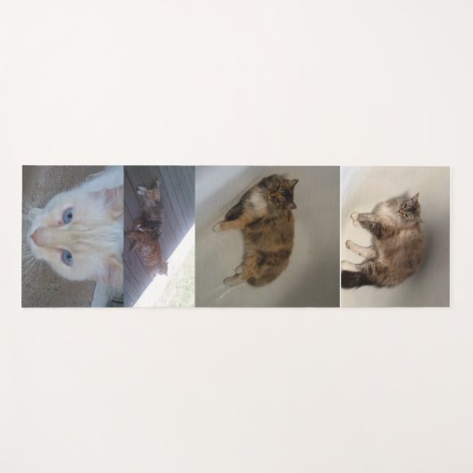 猫 ヨガマット (正面(横))