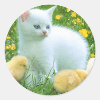 猫 ラウンドシール