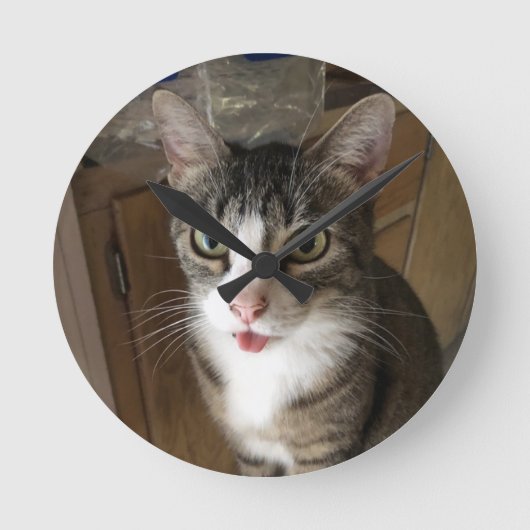 猫 ラウンド壁時計 (正面)