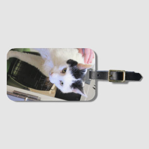 猫   ラゲッジタグ