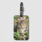 猫 ラゲッジタグ (正面縦)
