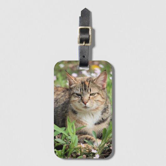 猫 ラゲッジタグ (正面縦)