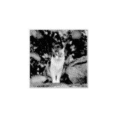 猫 ラバースタンプ (インプリント)