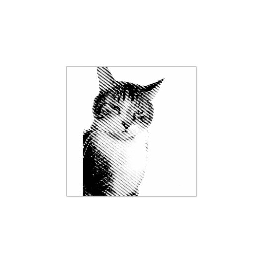 猫 ラバースタンプ (インプリント)