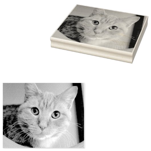 猫 ラバースタンプ (押印)