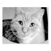 猫 ラバースタンプ (インプリント)