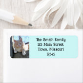 猫 ラベル (インサイチュ)