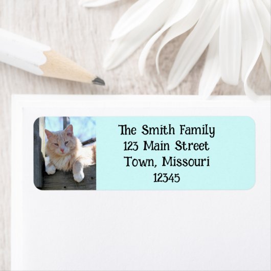 猫 ラベル (インサイチュ)