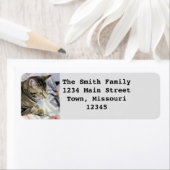 猫 ラベル (インサイチュ)