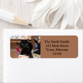 猫 ラベル (インサイチュ)