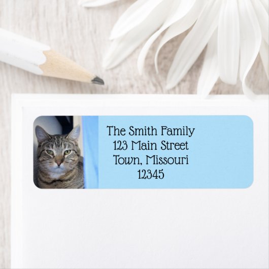 猫 ラベル (インサイチュ)