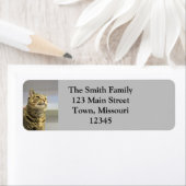 猫 ラベル (インサイチュ)