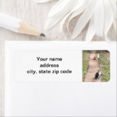 猫 ラベル (インサイチュ)