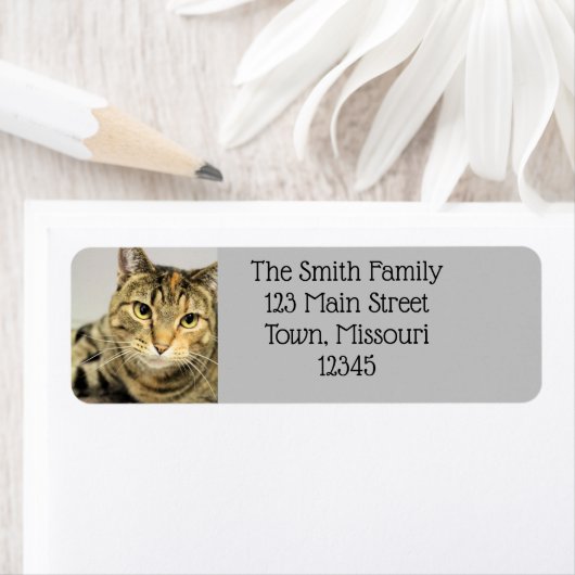 猫 ラベル (インサイチュ)