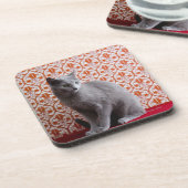 猫(ロシアのな青)および壁紙の背景 コースター (左側)