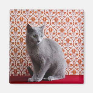 猫(ロシアのな青)および壁紙の背景 マグネット