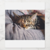 猫 ワインラベル (シングルラベル)