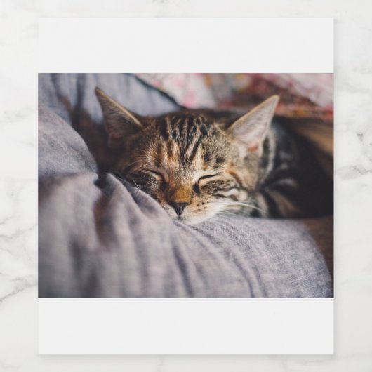 猫 ワインラベル (シングルラベル)