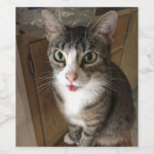 猫 ワインラベル (シングルラベル)