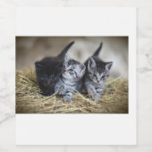 猫 ワインラベル (シングルラベル)