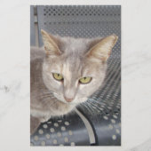 猫 便箋 (正面)