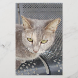 猫 便箋
