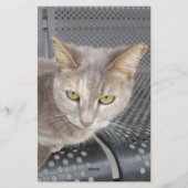 猫 便箋 (裏面)