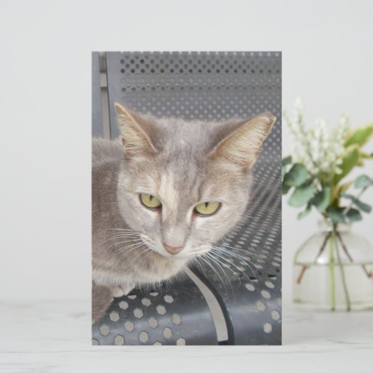 猫 便箋 (スタンド正面)