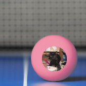 猫 卓球ボール (ネット)