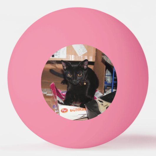猫 卓球ボール (裏面)