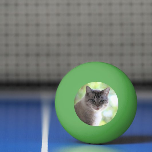 猫 卓球ボール (ネット)