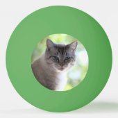 猫 卓球ボール (裏面)