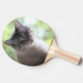 猫 卓球ラケット (横)