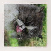 猫,可愛い,ペット,灰色,毛むくじゃら,家庭の,ネコ科の,あなた ジグソーパズル (横)