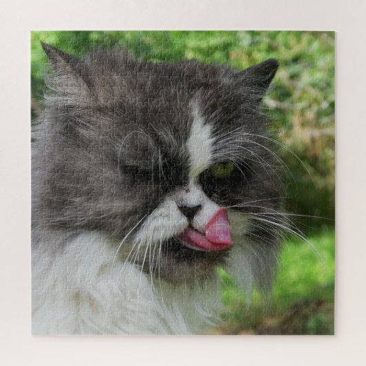 猫,可愛い,ペット,灰色,毛むくじゃら,家庭の,ネコ科の,あなた ジグソーパズル (縦)