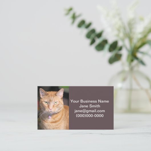 猫 名刺 (スタンド正面)