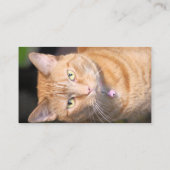 猫 名刺 (裏面)