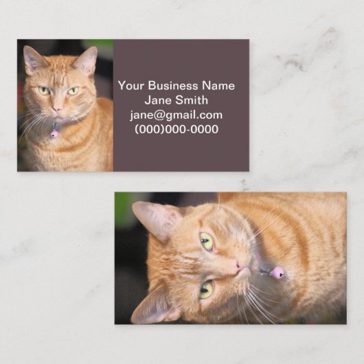 猫 名刺 (正面/裏面)