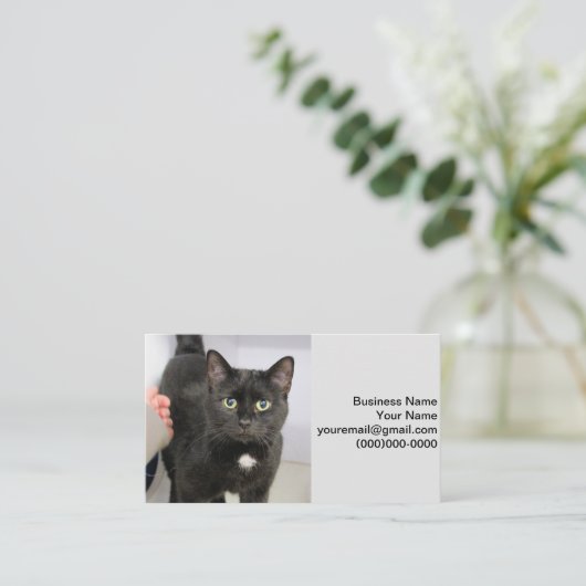 猫 名刺 (スタンド正面)