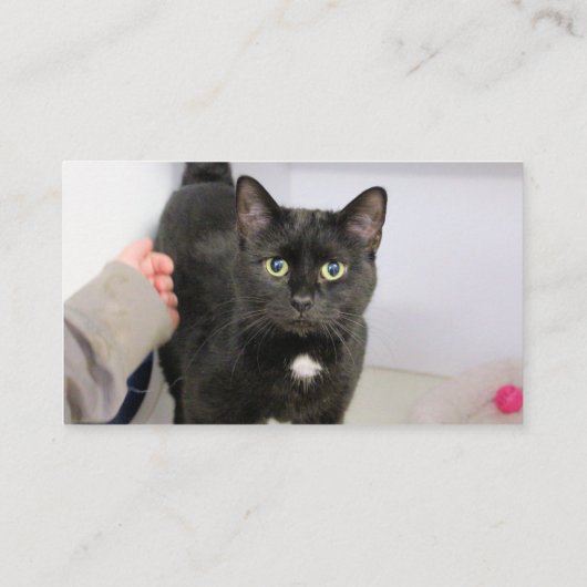 猫 名刺 (裏面)