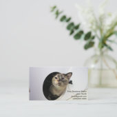 猫 名刺 (スタンド正面)