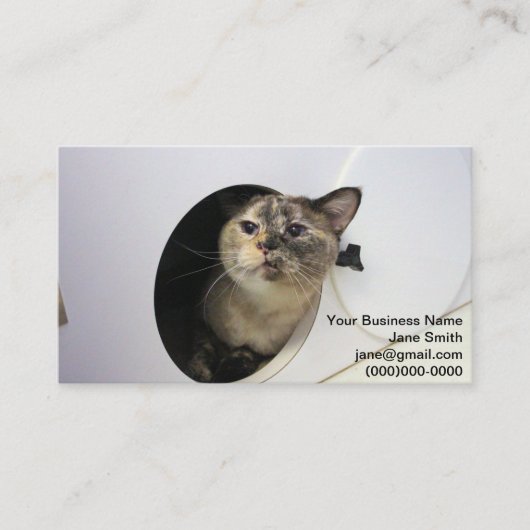 猫 名刺 (正面)