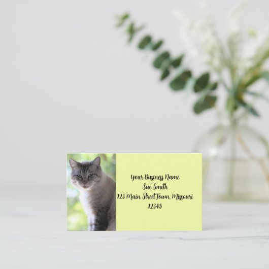 猫 名刺 (スタンド正面)