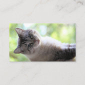 猫 名刺 (裏面)