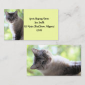 猫 名刺 (正面/裏面)