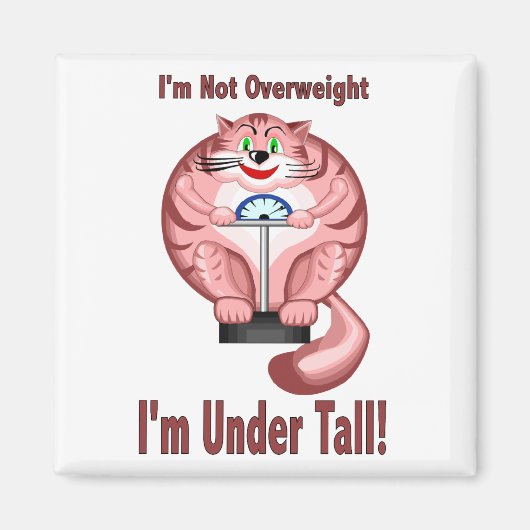 猫：太り過ぎ マグネット (正面)