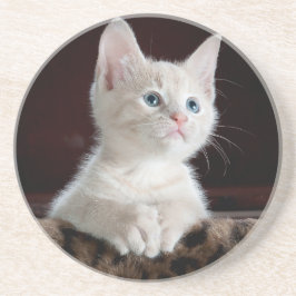 猫、女の子、贈り物  コースター