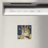 猫、子ネコ、クリスマス、救助、写真 マグネット (インサイチュ (食洗機))